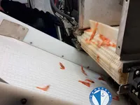 Chalutier à vendre