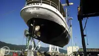 Navire-ferry à vendre