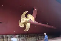 Navire de croisière à vendre
