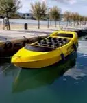 Navire de passagers à vendre