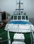 Bateau pilote à vendre
