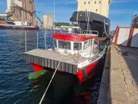 Catamaran à vendre