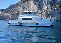 Catamaran à vendre