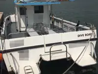 Bateaux de travail à vendre