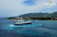 Navire-ferry à vendre