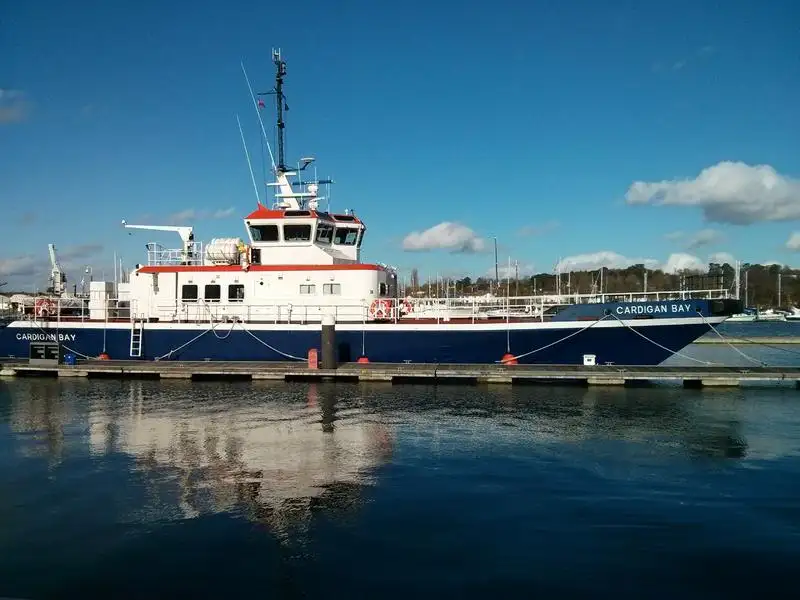 Catamaran à vendre