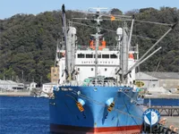 Navire frigorifique à vendre