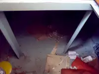 Remorqueur à vendre