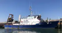 Bateaux de travail à vendre