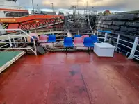 Navire de croisière à vendre