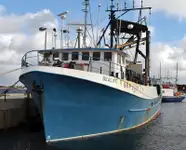 Chalutier à senne à vendre