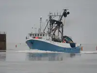 Chalutier à senne à vendre