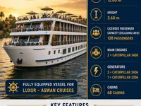 Navire de croisière à vendre