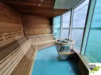 Navire de croisière à vendre