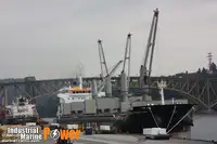 Transporteur de vrac à vendre