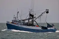 Chalutier à senne à vendre