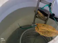 Navire de transformation de poisson à vendre
