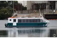 Catamaran à vendre