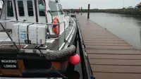 Bateau pilote à vendre