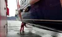 Bateaux de travail à vendre