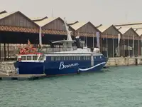 Navire-ferry à vendre