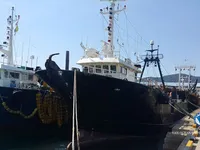 Chalutier à vendre