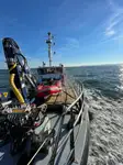 Bateaux de travail à vendre