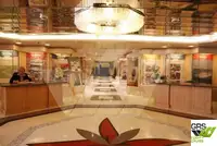 Navire de croisière à vendre