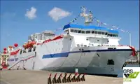 Ro-Ro ship à vendre