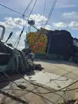 Chalutier à senne à vendre