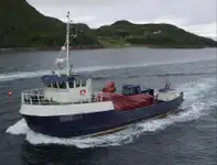 Bateaux de travail à vendre