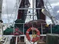 Chalutier à vendre