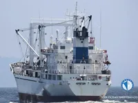 Navire frigorifique à vendre