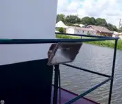 Remorqueur à vendre