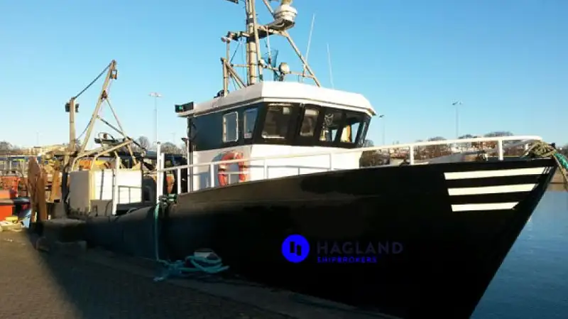 Palangrier à vendre