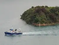 Catamaran à vendre