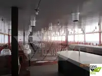 Navire de croisière à vendre