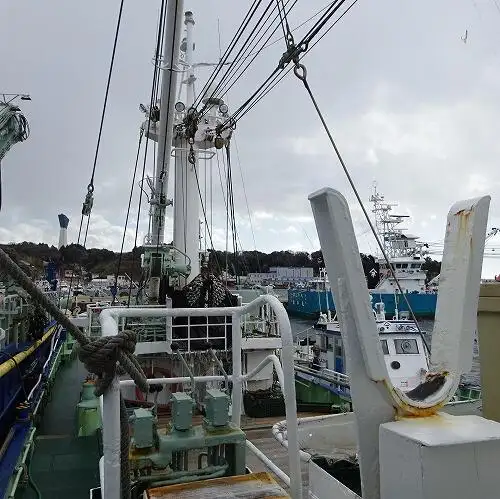 Chalutier à senne à vendre
