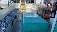 Navire de croisière à vendre