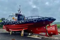 Bateaux de travail à vendre