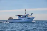 Navire-ferry à vendre