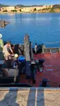 Bateaux de travail à vendre