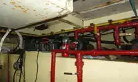 Bateau pilote à vendre