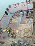 Péniche à vendre