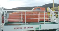 Transporteur de vrac à vendre