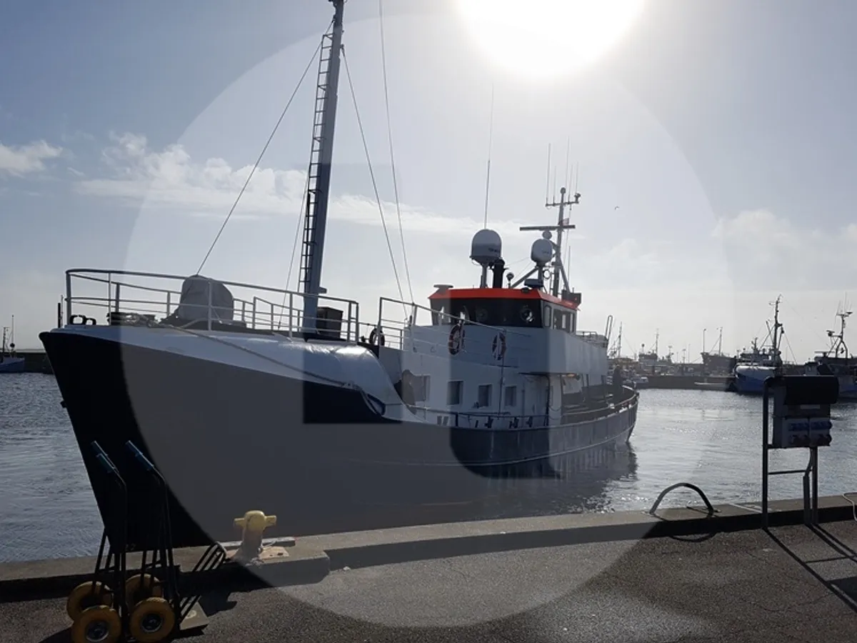 Navire de pêche à vendre