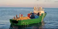 Bateaux de travail à vendre