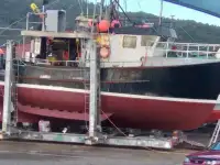 Palangrier à vendre