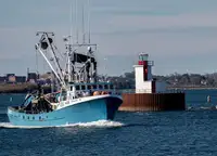 Purse seiner à vendre
