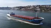 Vraquier à vendre